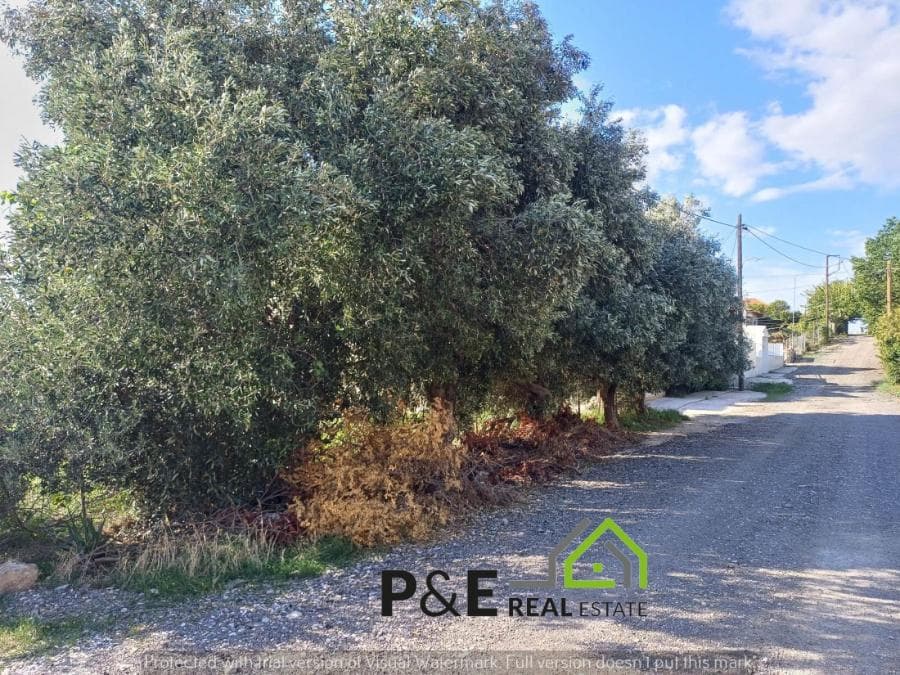 Οικόπεδο στην Οικισμός Κόκκινο Λιμανάκι, Ραφήνα — Φωτογραφία 9 από 9