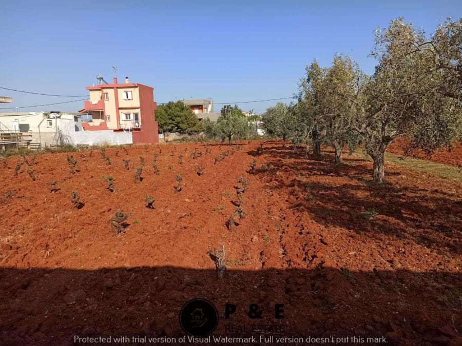 Οικόπεδο στην Άγιος Σεραφείμ, Αρτέμιδα (Λούτσα) — Φωτογραφία 3 από 10