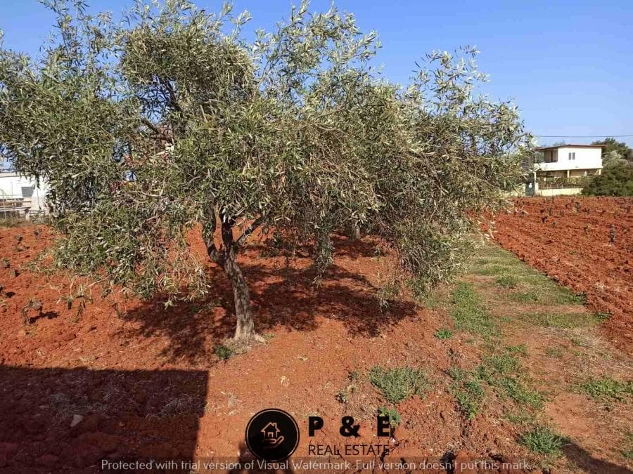 Οικόπεδο στην Άγιος Σεραφείμ, Αρτέμιδα (Λούτσα) — Φωτογραφία 4 από 10