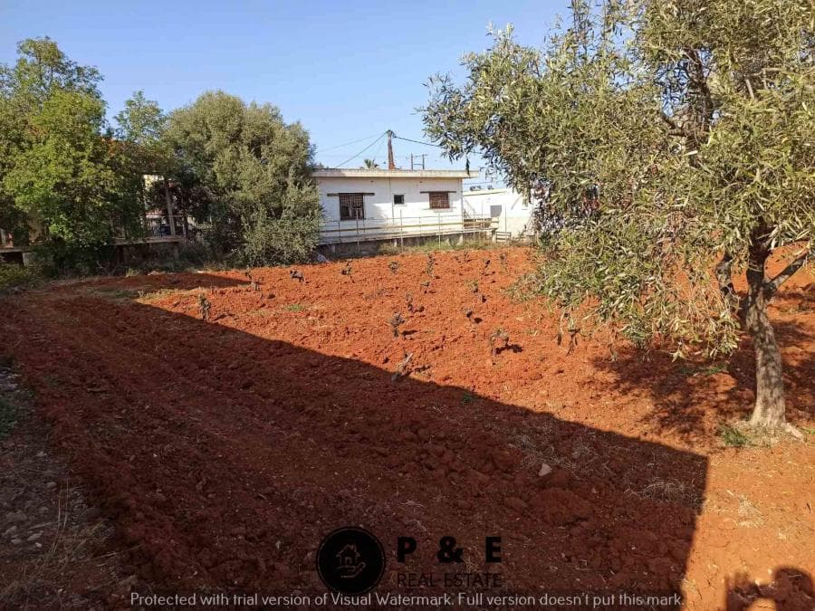 Οικόπεδο στην Άγιος Σεραφείμ, Αρτέμιδα (Λούτσα) — Φωτογραφία 5 από 10