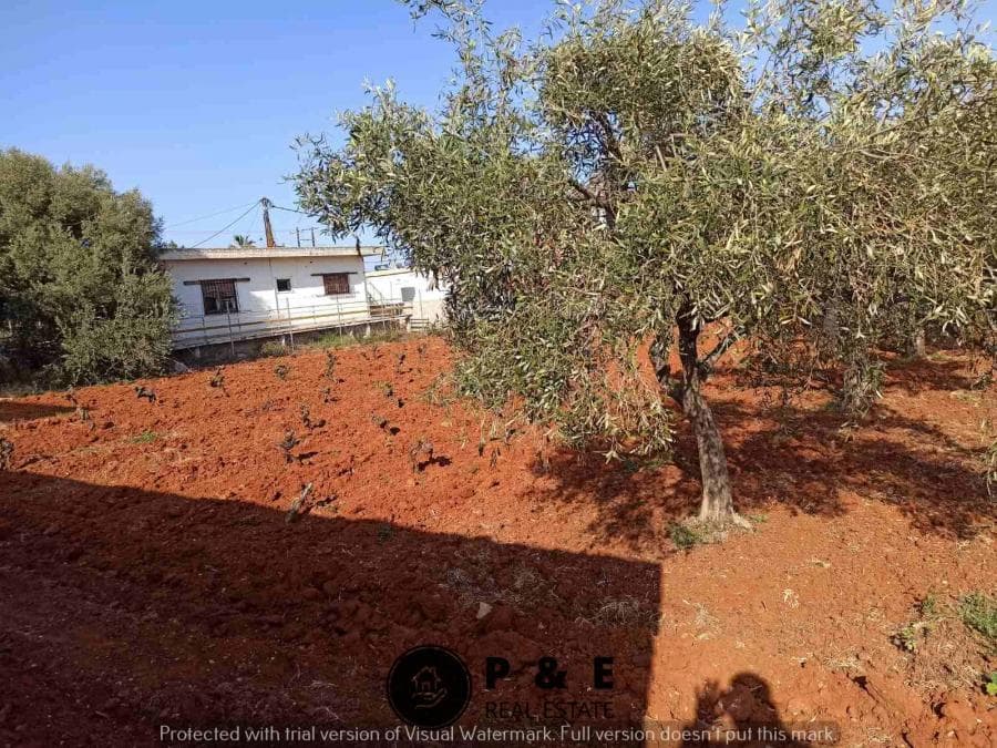 Οικόπεδο στην Άγιος Σεραφείμ, Αρτέμιδα (Λούτσα) — Φωτογραφία 8 από 10