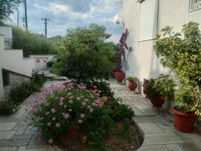 Διαμέρισμα στην Νέες Παγάσες, Βόλος — Φωτογραφία 5 από 21
