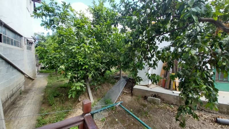 Διαμέρισμα στην Κέντρο, Αγριά — Φωτογραφία 24 από 30