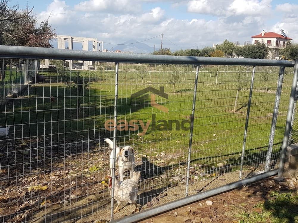 Building Plot in Agios Stefanos, Messatida — Photo 2 of 11