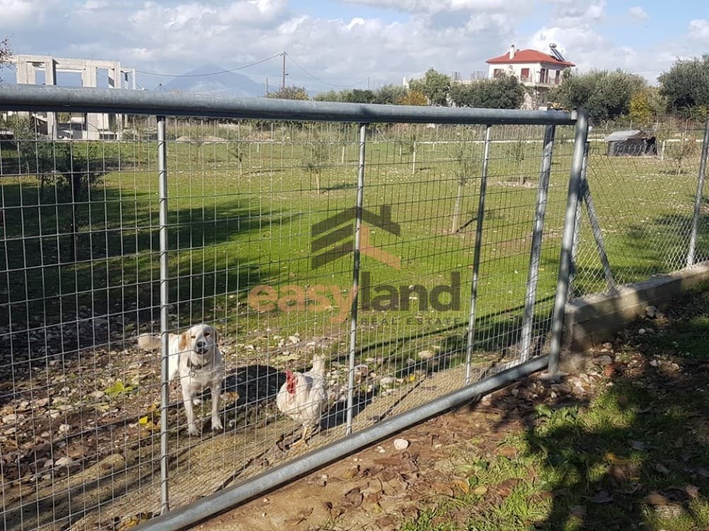 Building Plot in Agios Stefanos, Messatida — Photo 3 of 11