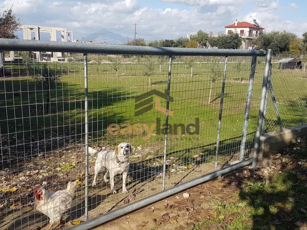 Building Plot in Agios Stefanos, Messatida — Photo 4 of 11