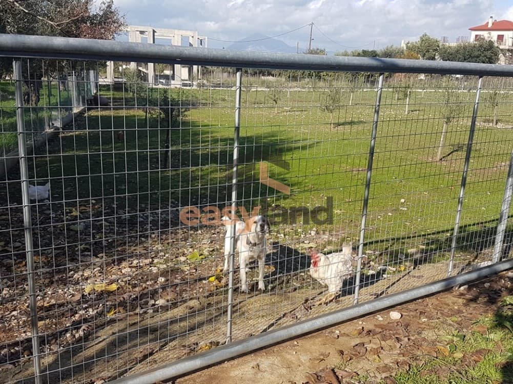 Building Plot in Agios Stefanos, Messatida — Photo 5 of 11