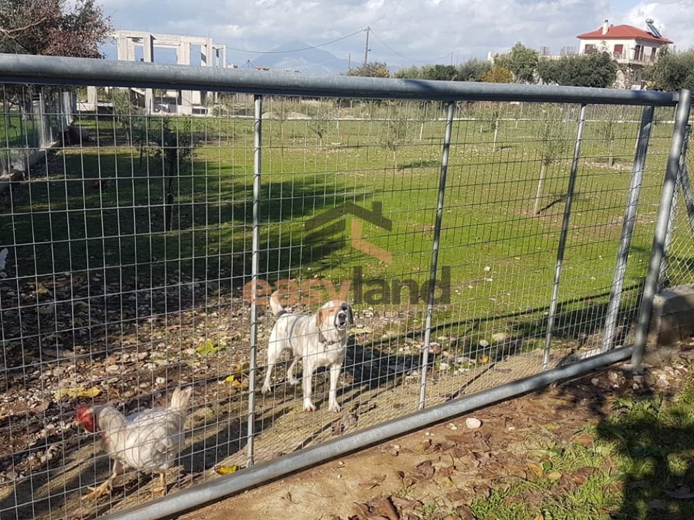 Building Plot in Agios Stefanos, Messatida — Photo 6 of 11