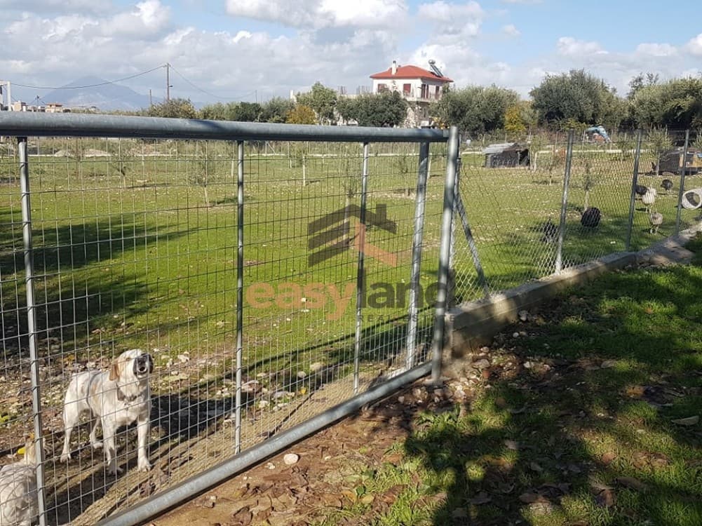 Building Plot in Agios Stefanos, Messatida — Photo 7 of 11