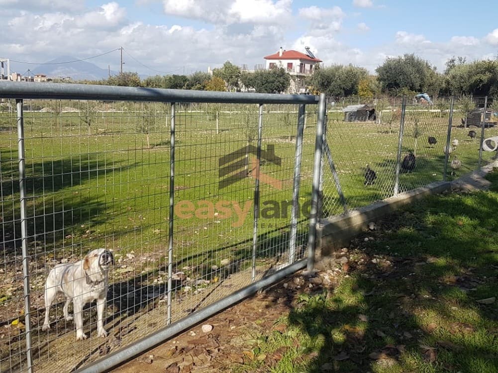 Building Plot in Agios Stefanos, Messatida — Photo 9 of 11