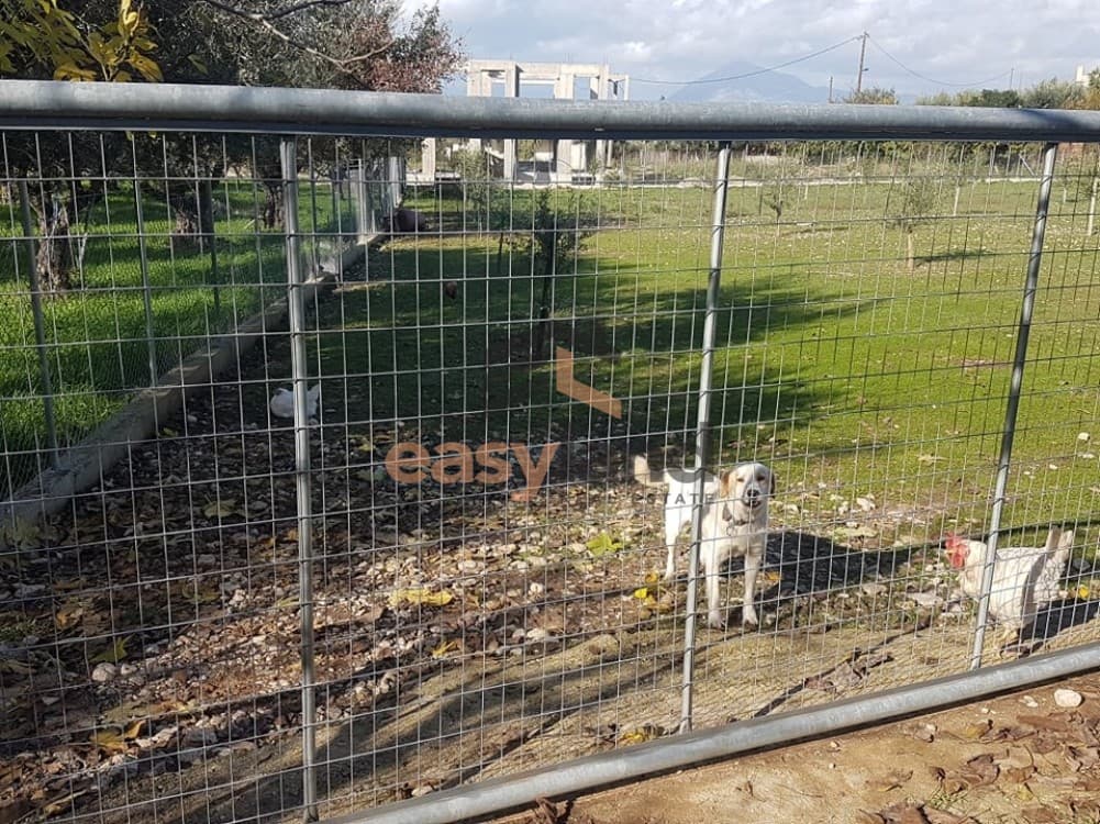 Building Plot in Agios Stefanos, Messatida — Photo 10 of 11