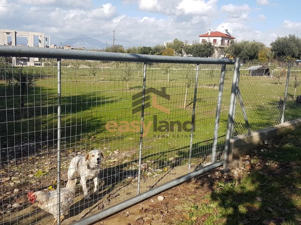Building Plot in Agios Stefanos, Messatida — Photo 11 of 11
