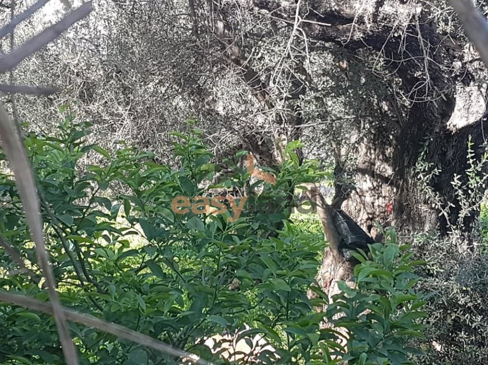 Οικόπεδο στην Μεταμόρφωση, Πάτρα — Φωτογραφία 2 από 7