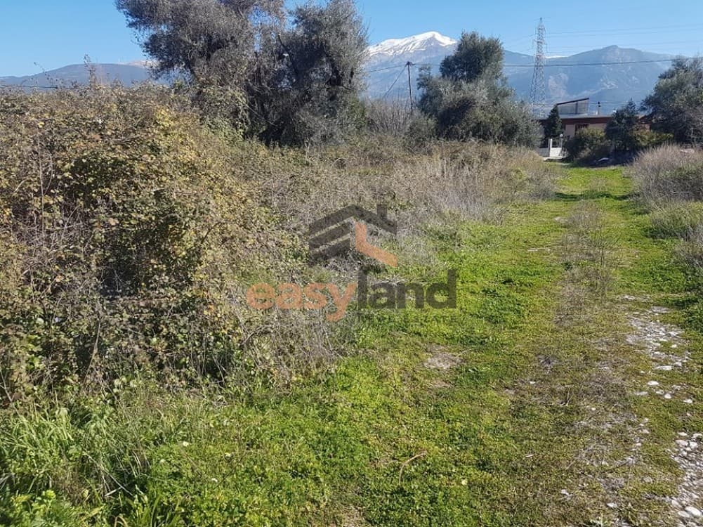 Building Plot in Lalioti, Messatida — Photo 19 of 26