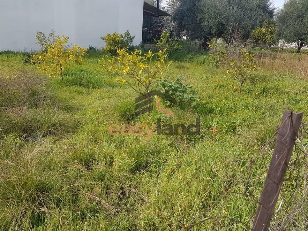 Οικόπεδο στην Ψάχου, Πάτρα — Φωτογραφία 5 από 19