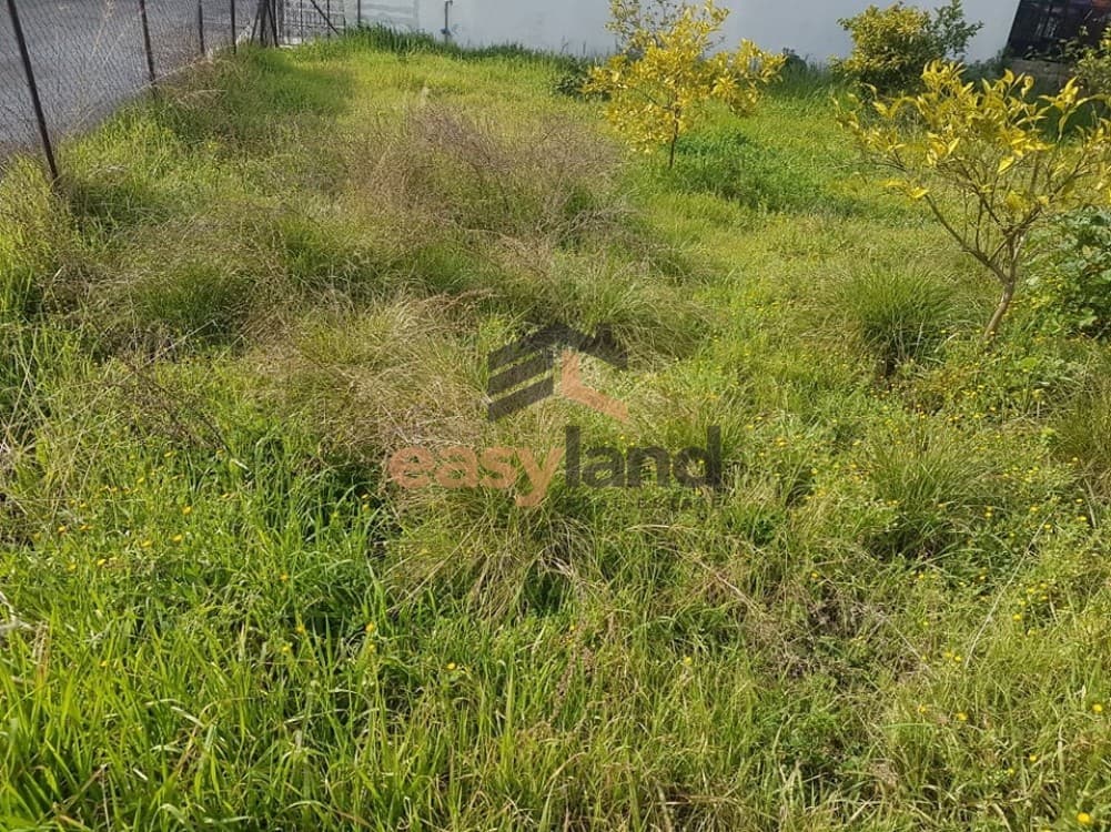 Οικόπεδο στην Ψάχου, Πάτρα — Φωτογραφία 7 από 19