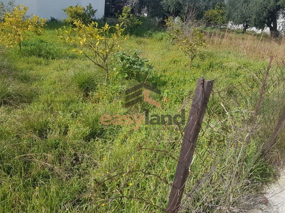 Οικόπεδο στην Ψάχου, Πάτρα — Φωτογραφία 13 από 19