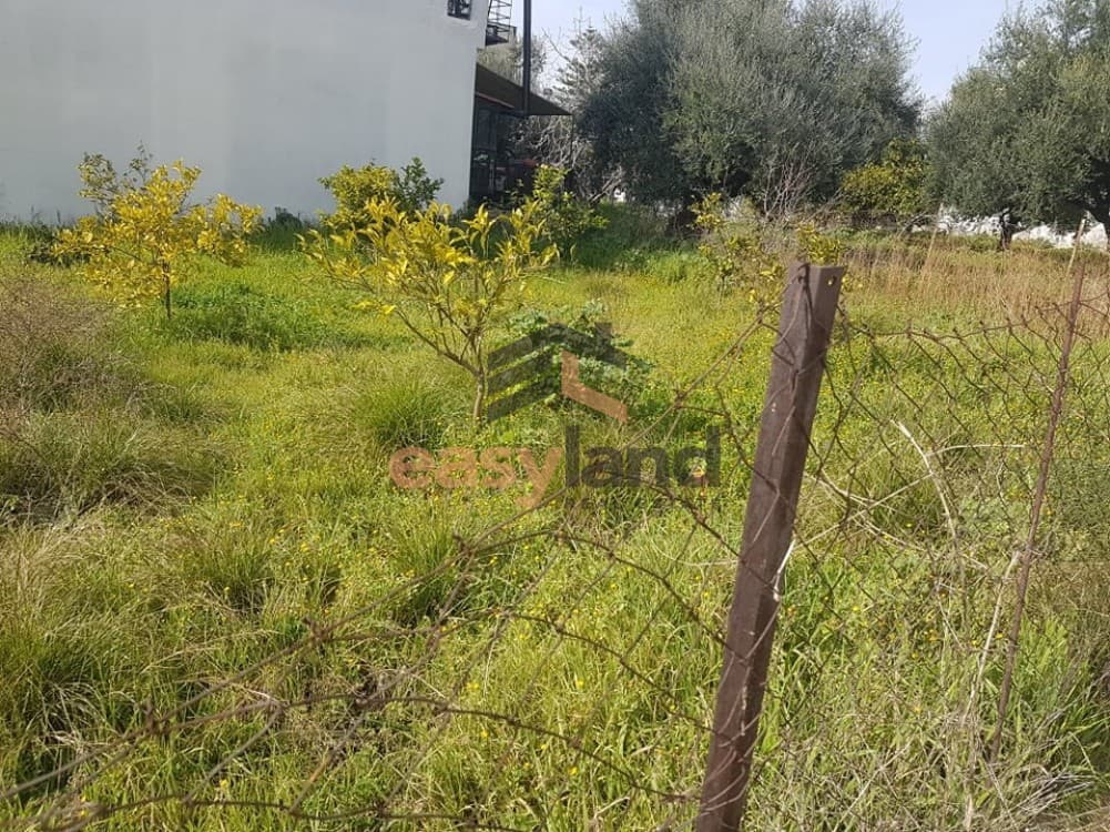 Οικόπεδο στην Ψάχου, Πάτρα — Φωτογραφία 17 από 19