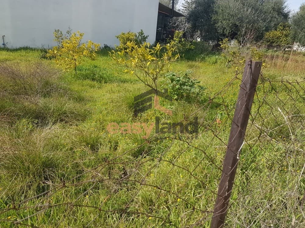 Οικόπεδο στην Ψάχου, Πάτρα — Φωτογραφία 19 από 19