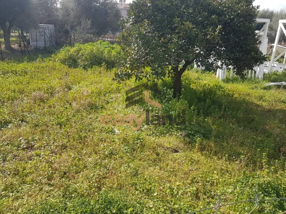 Οικόπεδο στην Μεταμόρφωση, Πάτρα — Φωτογραφία 2 από 18