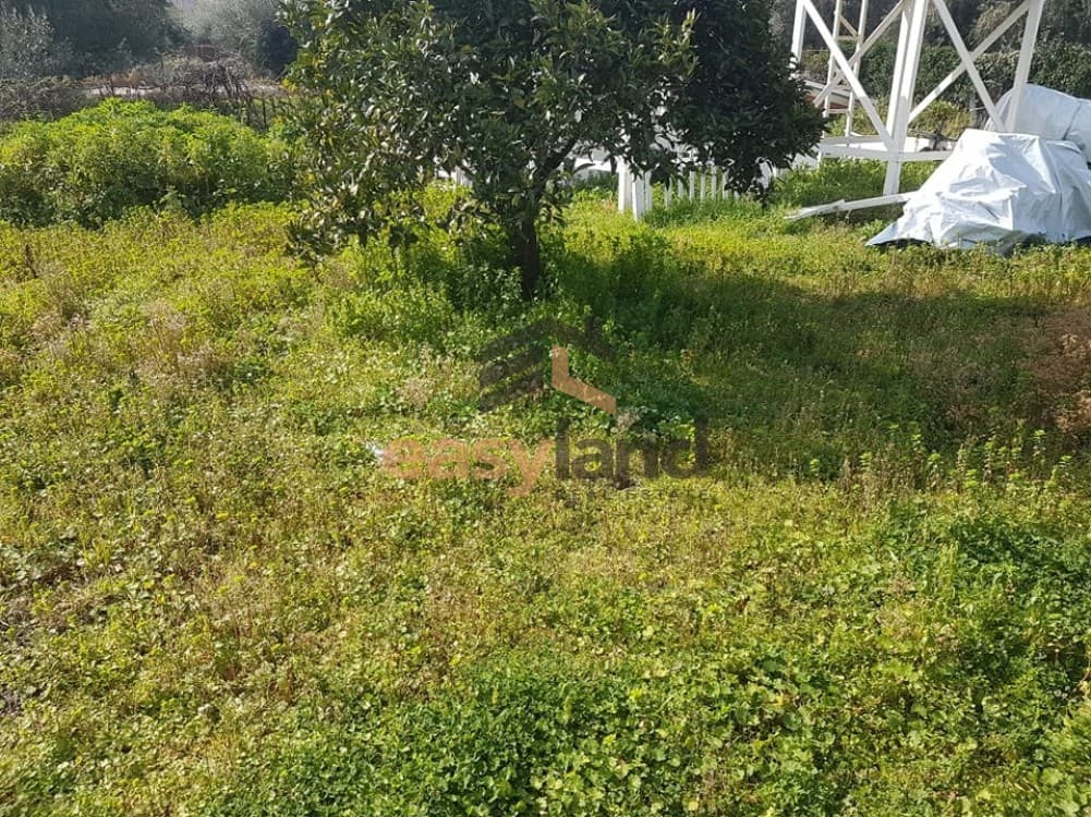 Οικόπεδο στην Μεταμόρφωση, Πάτρα — Φωτογραφία 16 από 18