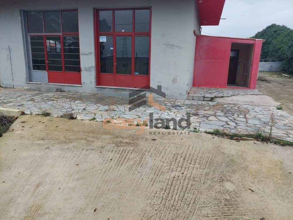 Retail Store in Kritharakia, Fares — Photo 12 of 20
