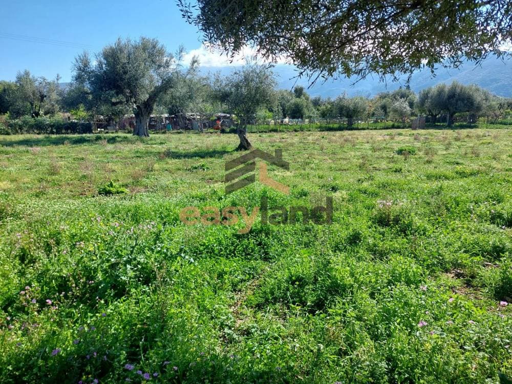 Building Plot in Demenika, Messatida — Photo 4 of 8