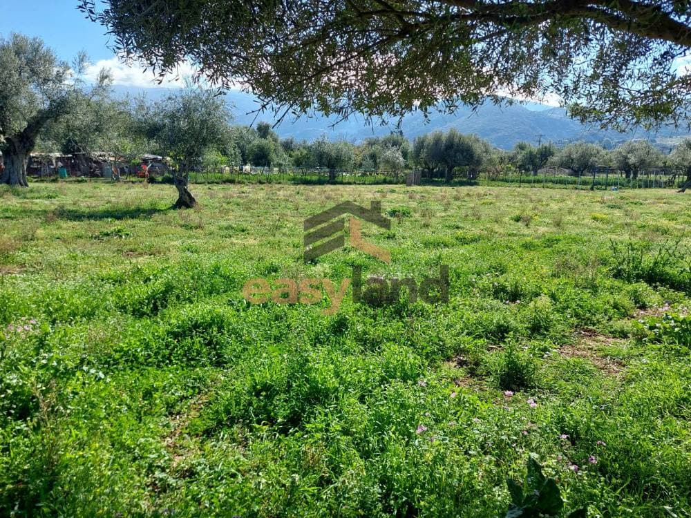 Building Plot in Demenika, Messatida — Photo 7 of 8