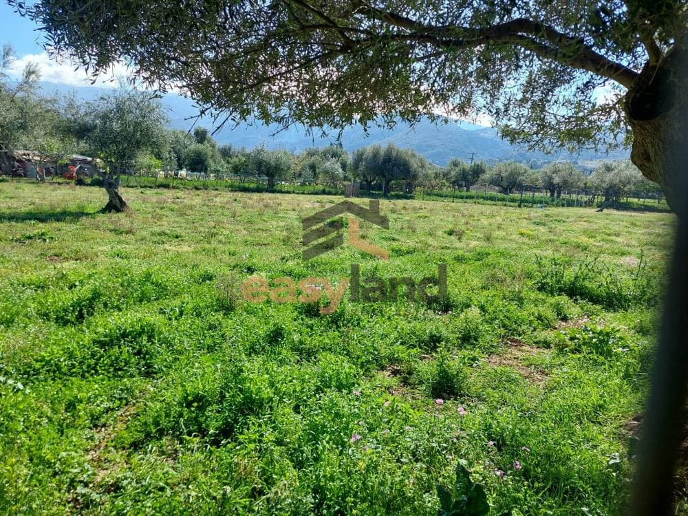Building Plot in Demenika, Messatida — Photo 8 of 8