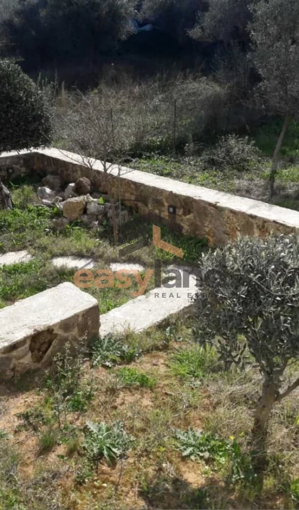 Μονοκατοικία στην Λάγγουρα, Πάτρα — Φωτογραφία 28 από 28