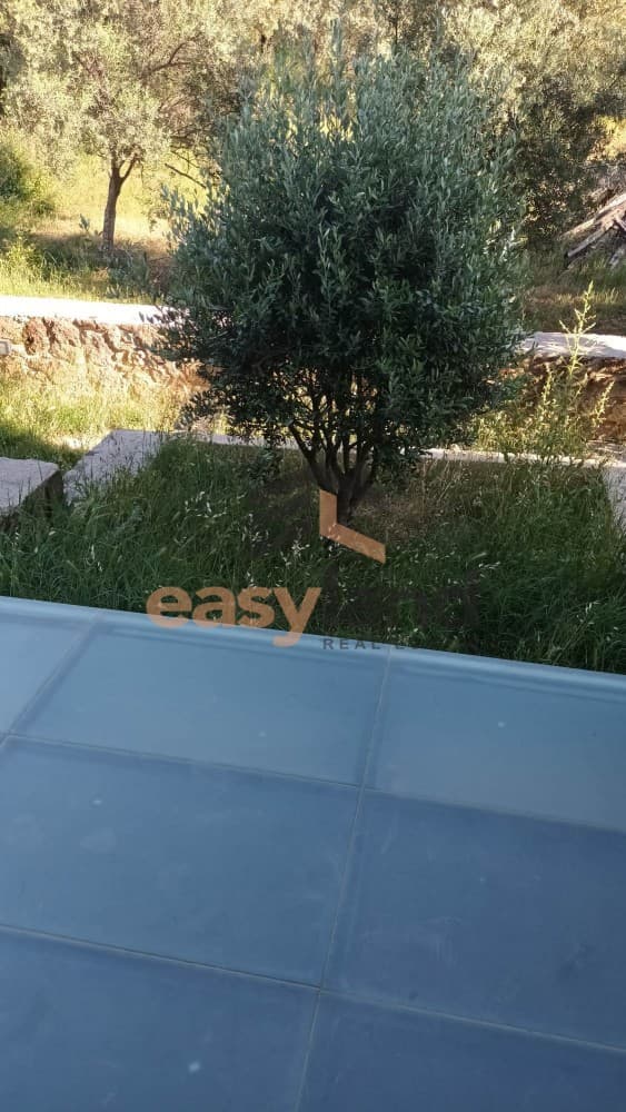 Μονοκατοικία στην Λάγγουρα, Πάτρα — Φωτογραφία 27 από 28
