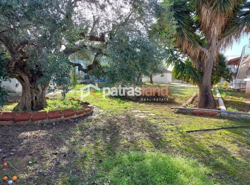 Apartment in Paralia Alissou, Dytikis Achaias — Photo 7 of 20
