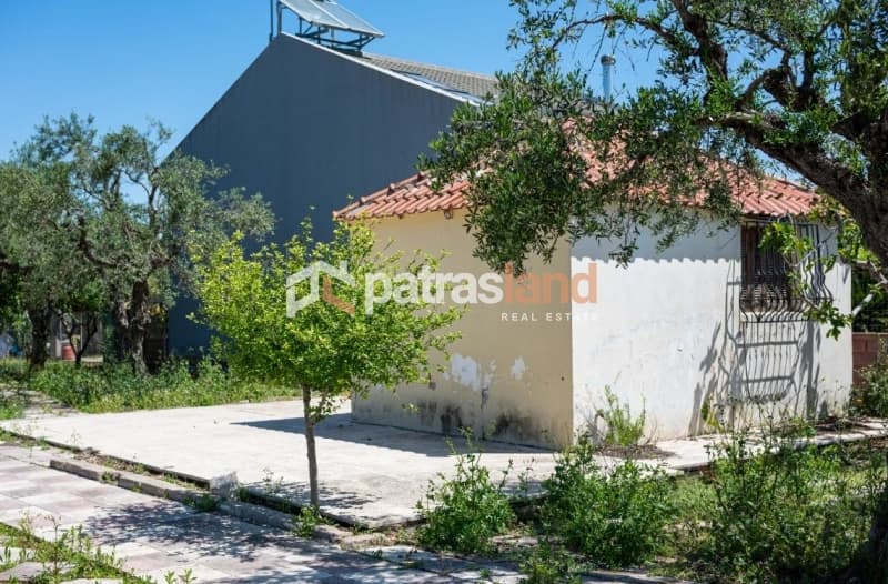 Apartment in Paralia Alissou, Dytikis Achaias — Photo 4 of 20