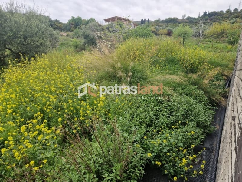 Μονοκατοικία στην Καλλιθεόκαμπος, Μεσσατίδα — Φωτογραφία 24 από 24