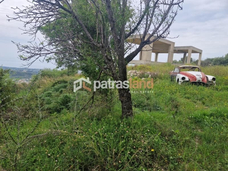 Μονοκατοικία στην Καλλιθεόκαμπος, Μεσσατίδα — Φωτογραφία 11 από 24