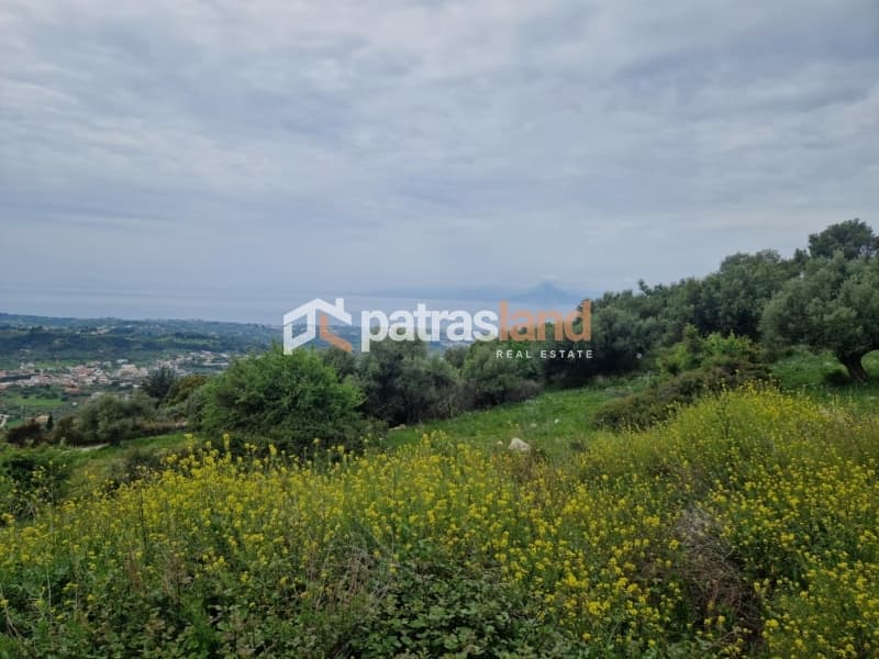 Μονοκατοικία στην Καλλιθεόκαμπος, Μεσσατίδα — Φωτογραφία 20 από 24