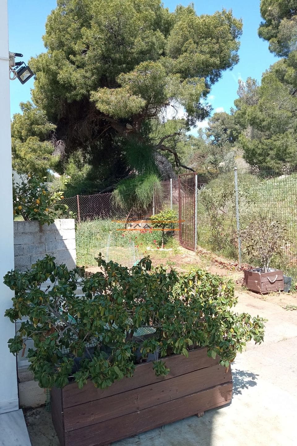 Μονοκατοικία στην Κέντρο, Μαρκόπουλο — Φωτογραφία 14 από 22
