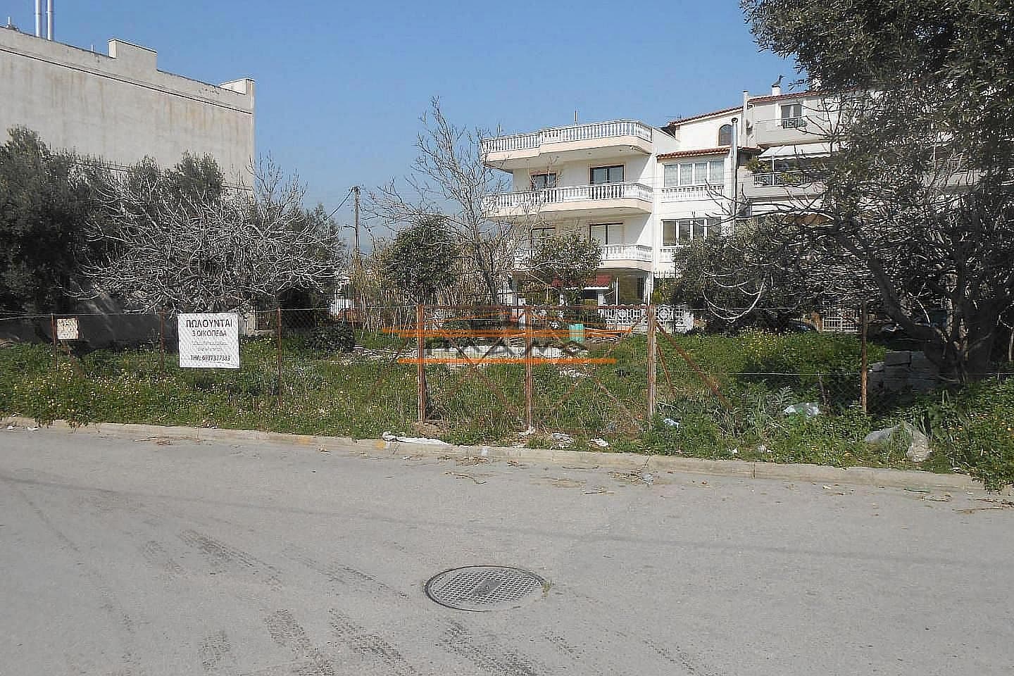 Building Plot in Megala Sxoinia A, Acharnes — Photo 6 of 7
