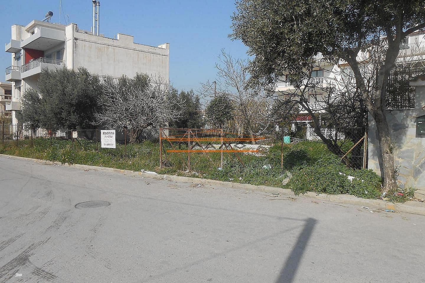 Building Plot in Megala Sxoinia A, Acharnes — Photo 4 of 7