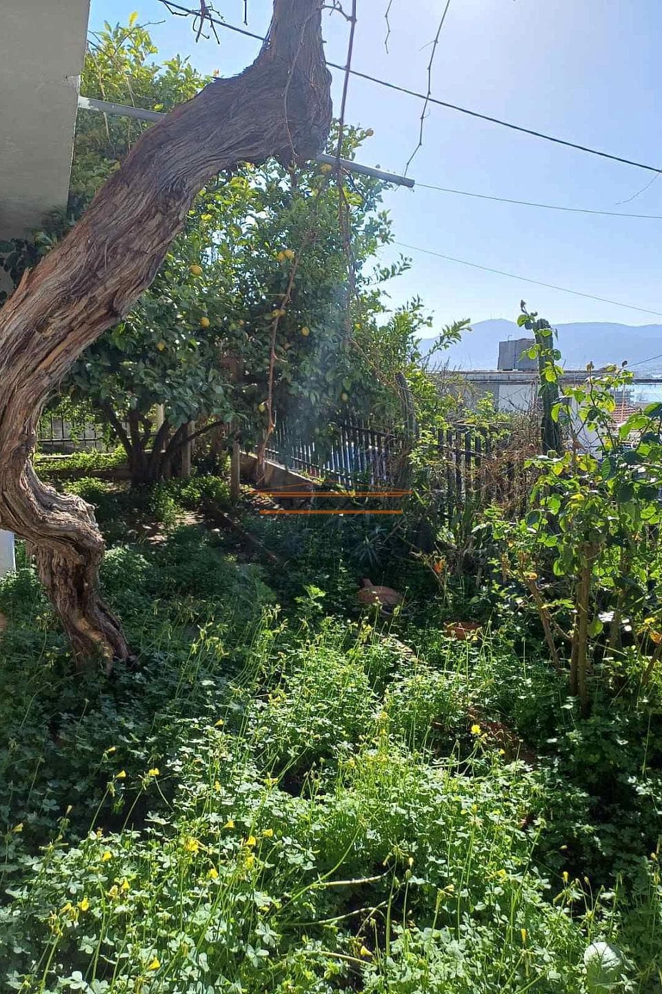 House in Markopoulo, Markopoulo — Photo 14 of 14