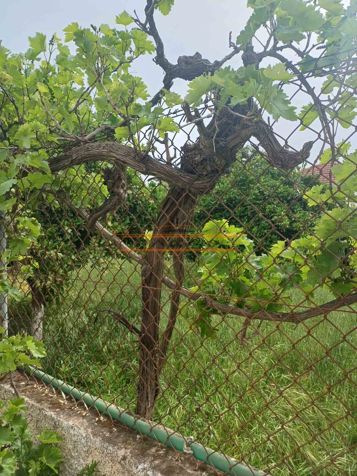 Building Plot in Porto Rafti, Vravrona — Photo 2 of 2
