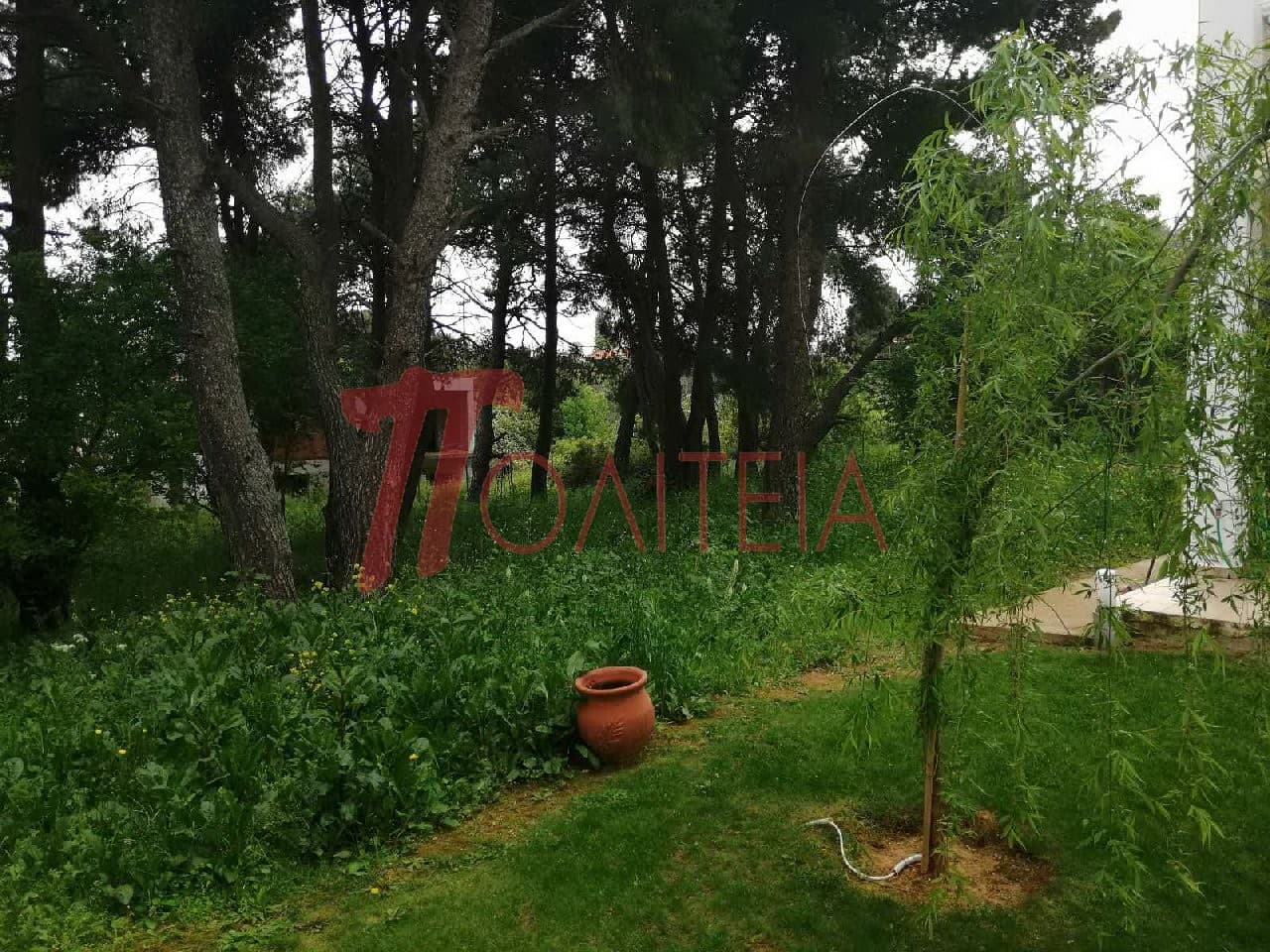 Οικόπεδο στην Δάσος Κουρεμένου, Άγιος Στέφανος — Φωτογραφία 18 από 18