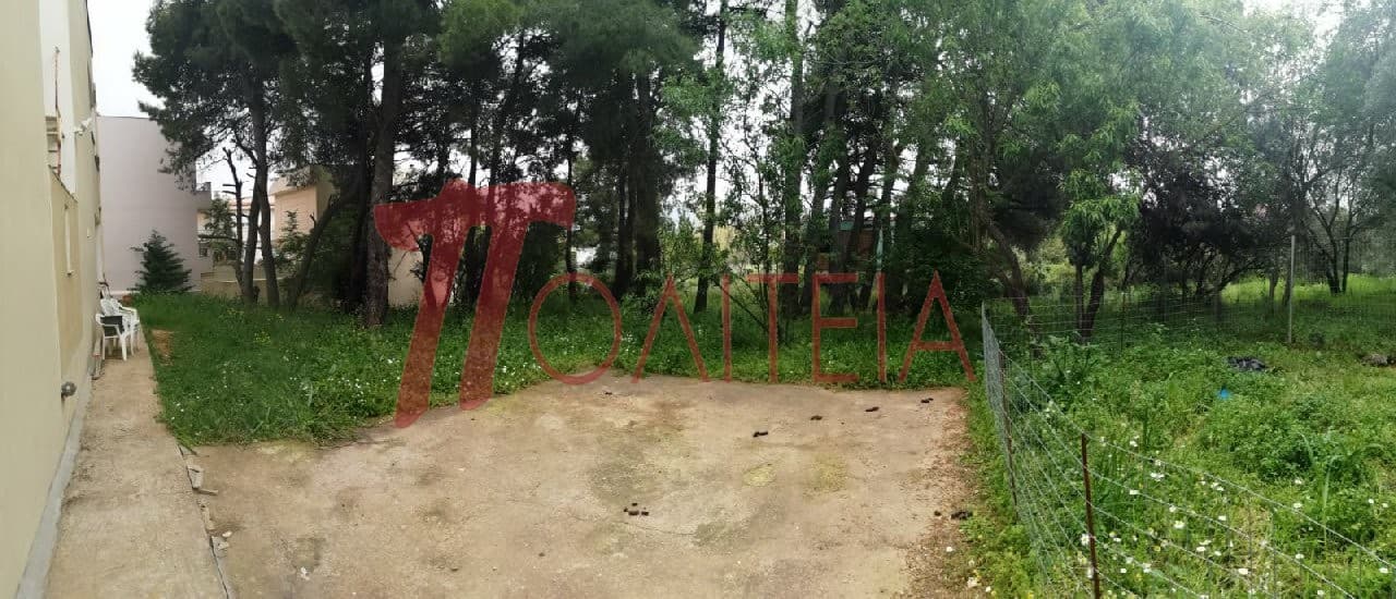 Οικόπεδο στην Δάσος Κουρεμένου, Άγιος Στέφανος — Φωτογραφία 15 από 18