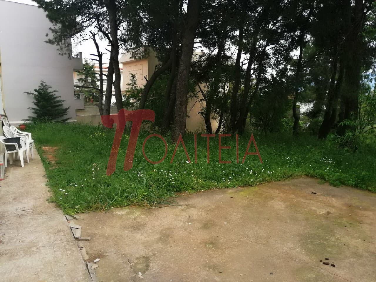 Οικόπεδο στην Δάσος Κουρεμένου, Άγιος Στέφανος — Φωτογραφία 14 από 18