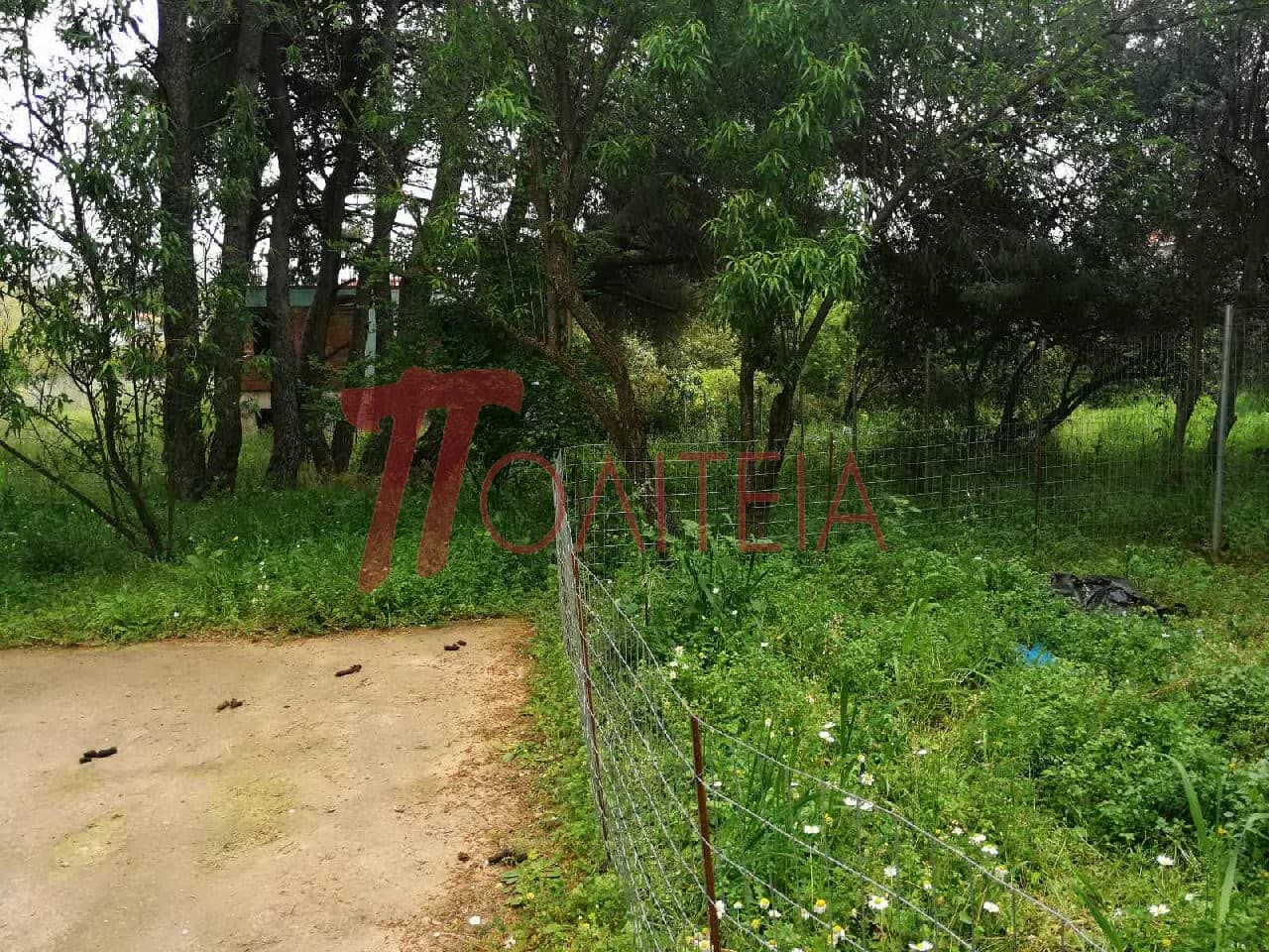 Οικόπεδο στην Δάσος Κουρεμένου, Άγιος Στέφανος — Φωτογραφία 16 από 18