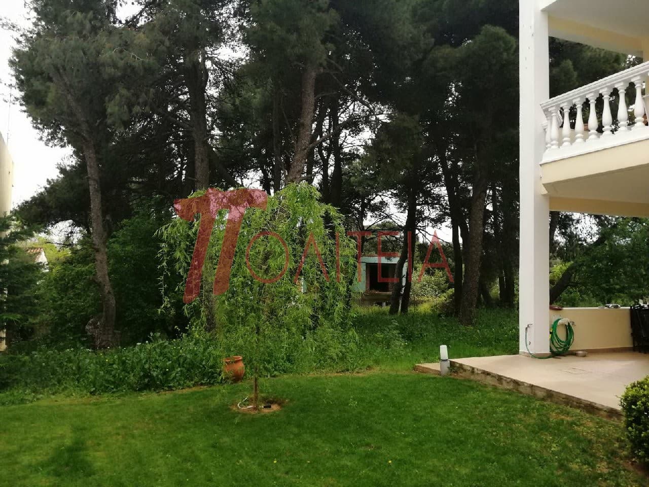 Οικόπεδο στην Δάσος Κουρεμένου, Άγιος Στέφανος — Φωτογραφία 17 από 18