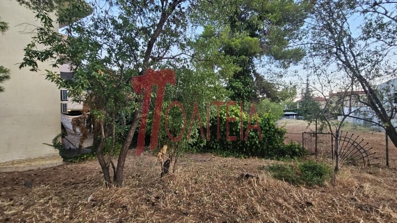 Οικόπεδο στην Δάσος Κουρεμένου, Άγιος Στέφανος — Φωτογραφία 2 από 18