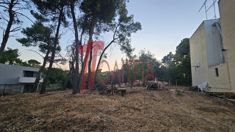 Οικόπεδο στην Δάσος Κουρεμένου, Άγιος Στέφανος — Φωτογραφία 8 από 18