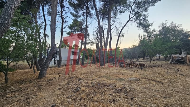 Οικόπεδο στην Δάσος Κουρεμένου, Άγιος Στέφανος — Φωτογραφία 10 από 18