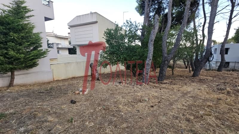Οικόπεδο στην Δάσος Κουρεμένου, Άγιος Στέφανος — Φωτογραφία 12 από 18